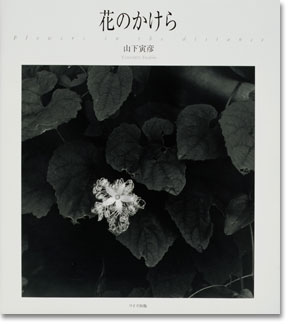 写真集「花のかけら」表紙