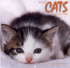 2012 cats collection