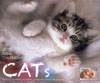 2012 mini calender CAT's