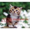 cats mini calender 2020