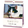 低血圧なネコ ポストカードカレンダー 2020